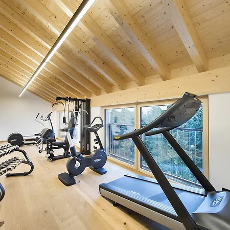 酒店 阿德勒达米尔斯酒店 4*