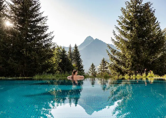 ホテル Adler ダーミュルス