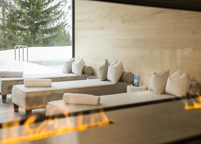 ホテル Adler ダーミュルス